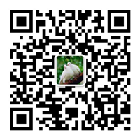 除塵設(shè)備_脫硝脫硫設(shè)備_污水處理_煙氣粉塵治理_唐山鉑銳環(huán)?？萍加邢薰?/></div>
      <!--二維碼結(jié)束-->
      <div   id=